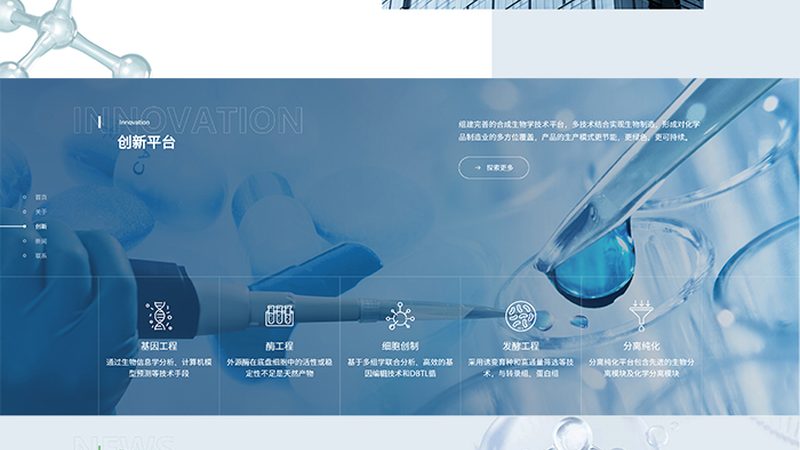 基因检测与基因编辑：揭秘定制服务的奥秘