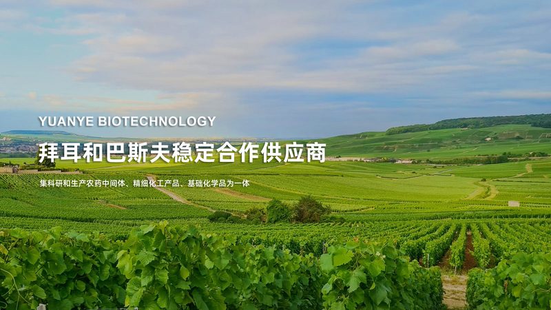 CDMO商业模式：揭秘医药研发背后的“隐形推手
