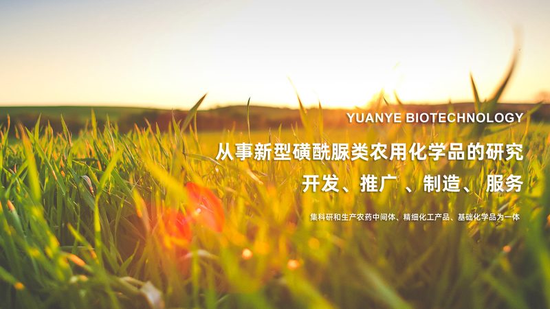 小分子CDMO原料药：揭秘其背后的研发与生产奥秘**