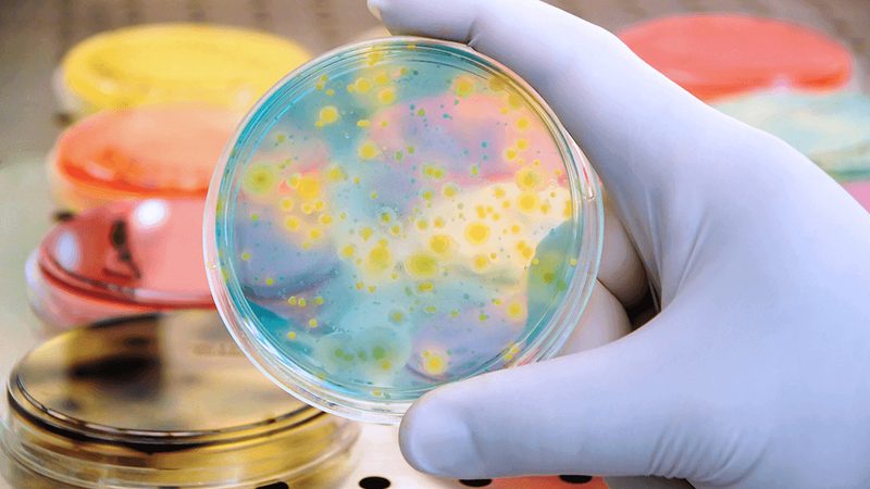 抗体亲和力SPR检测：精准评估，助力生物药研发
