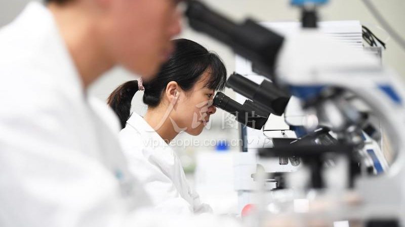 核酸提取试剂盒：揭秘其背后的技术奥秘与应用**