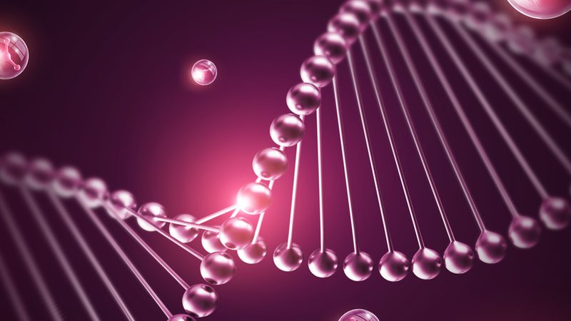 CHO细胞培养基配方揭秘：关键成分与选择要点**