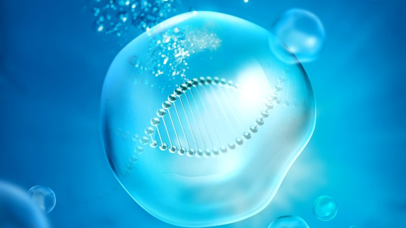 生物反应器悬浮培养：揭秘细胞培养的“隐形功臣”**