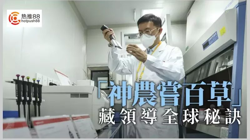 PCR检测流程揭秘：步骤详解与关键要素