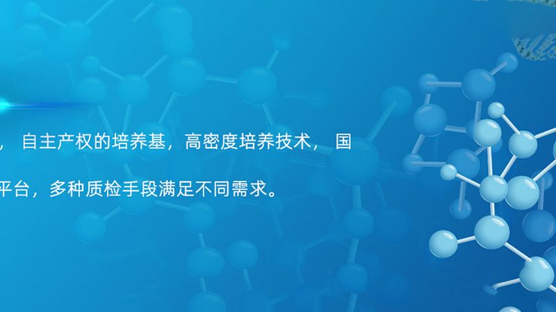 细胞工厂尺寸如何分类？揭秘其背后的奥秘**