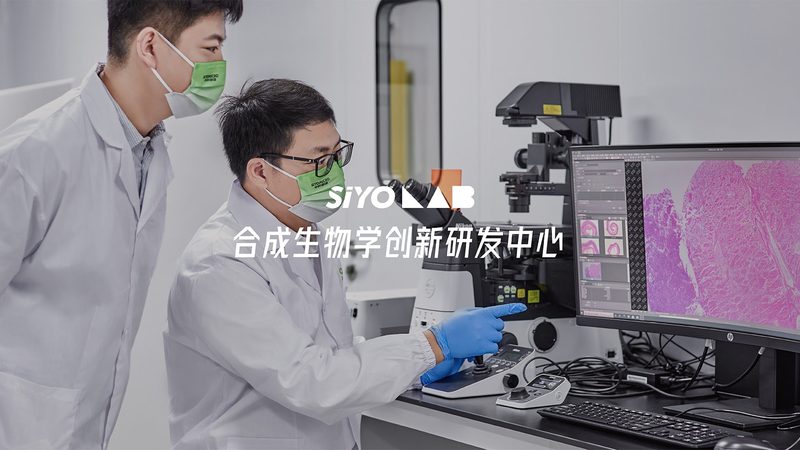 实验玻璃器皿选型：如何精准匹配实验需求