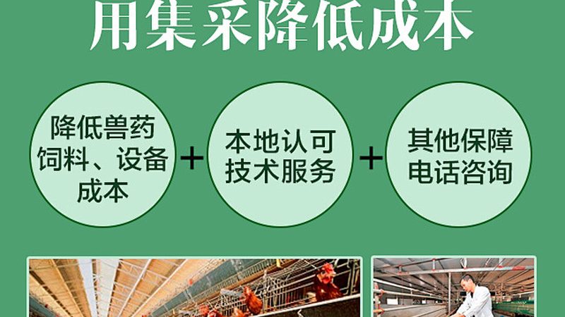 上海cro平台价格对比