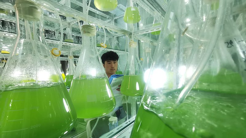 无血清培养基定制，如何选择靠谱的厂家？**